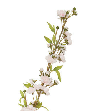 Tall Pink Cherry Blossom Stem
