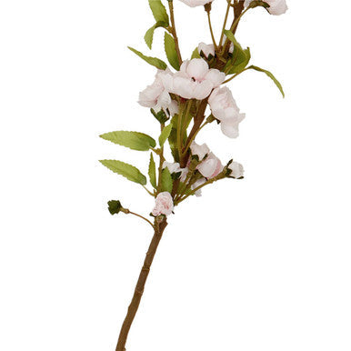 Tall Pink Cherry Blossom Stem