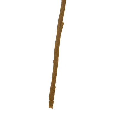 Tall Pink Cherry Blossom Stem