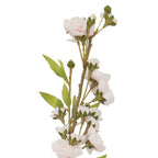 Tall Pink Cherry Blossom Stem