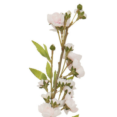 Tall Pink Cherry Blossom Stem