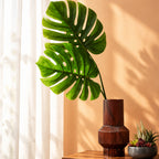 Tall Monstera Palm Stem