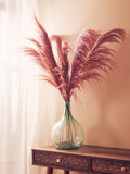 Tall Pink Pampas Grass Stem