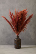 Tall Pink Pampas Grass Stem
