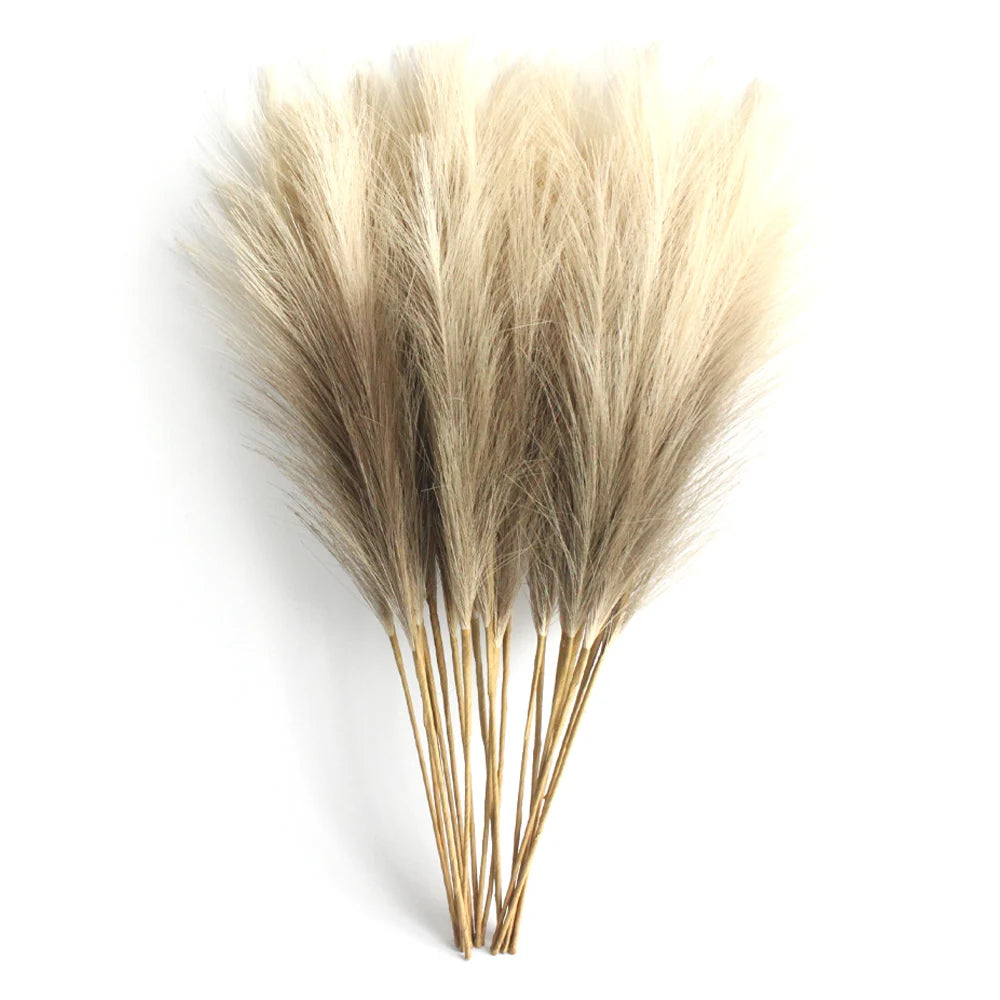 Pampas Grass Stems Pack of 6