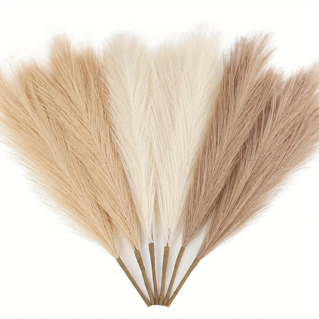 Pampas Grass Stems Pack of 6