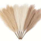 Pampas Grass Stems Pack of 6