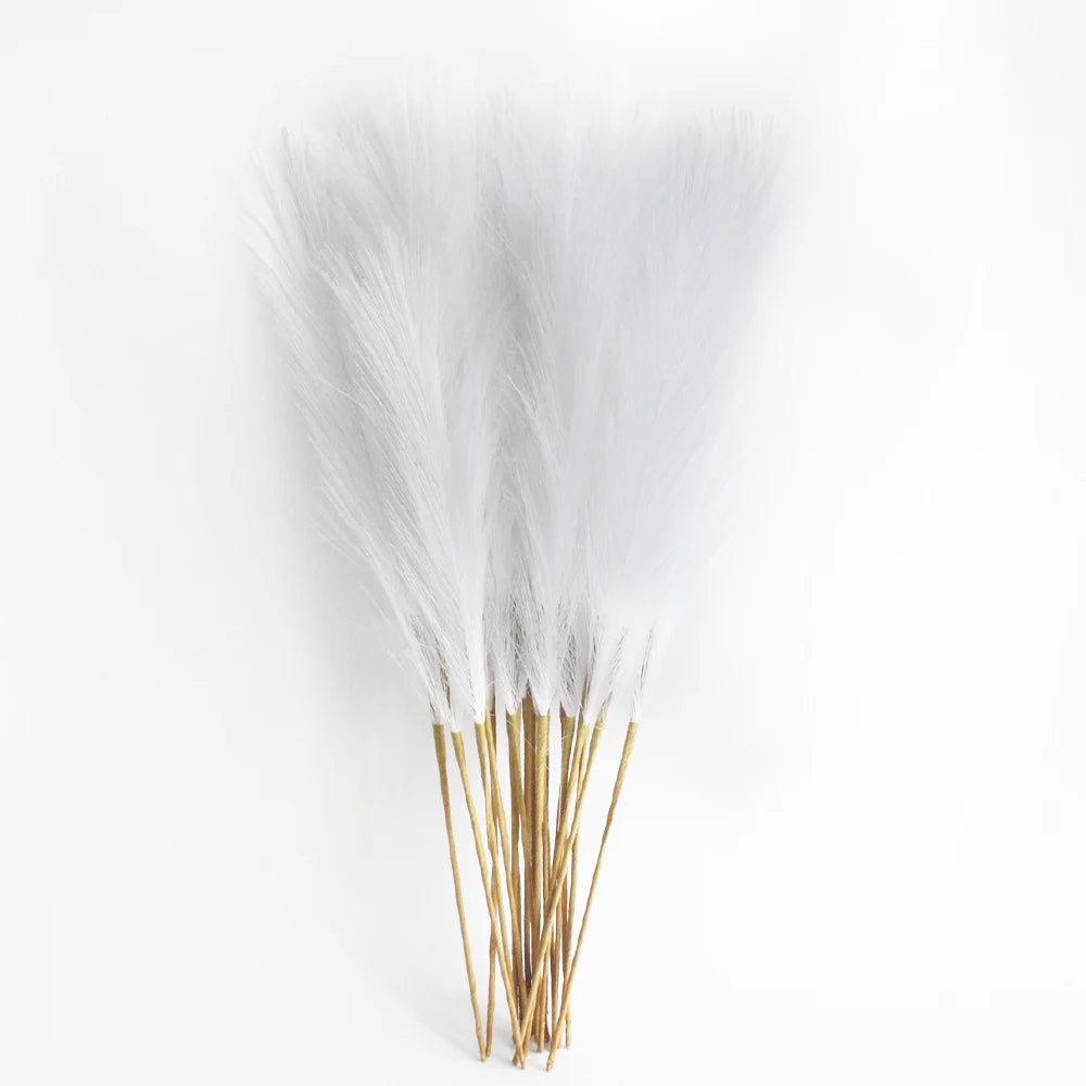 Pampas Grass Stems Pack of 6
