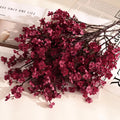 Orange Baby's Breath Stems