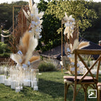 Pampas Grass Stems Pack of 6