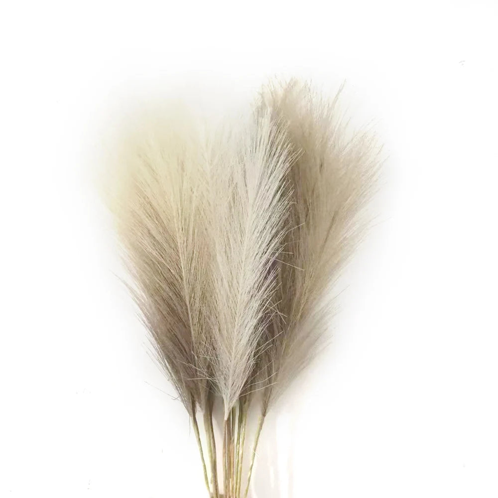 Pampas Grass Stems Pack of 6