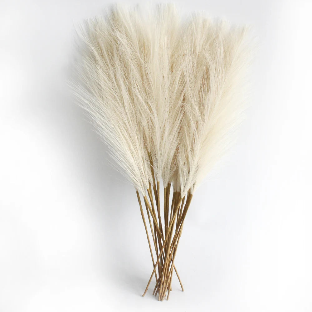 Pampas Grass Stems Pack of 6