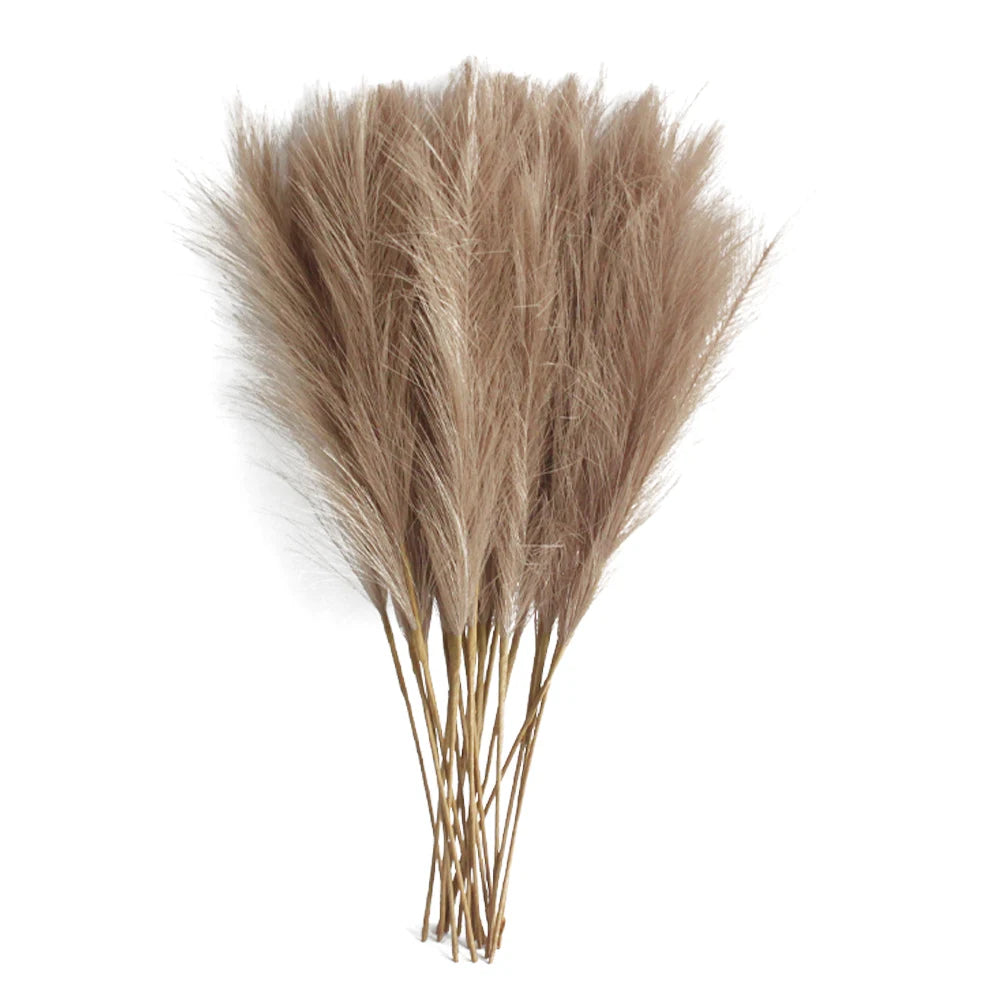 Pampas Grass Stems Pack of 6